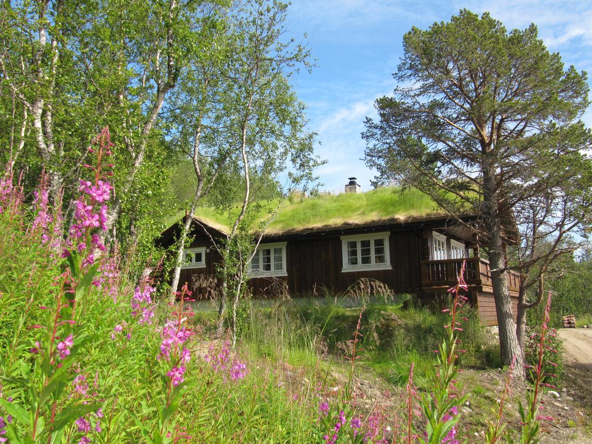 Malangen Lodge Mestervik Exterior foto